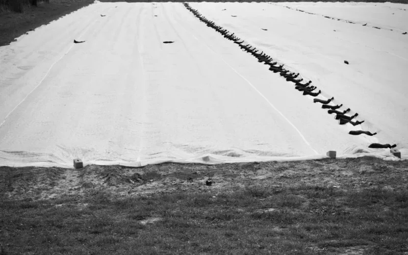 Black and white image of a covered agricultural field with evenly placed black weights.