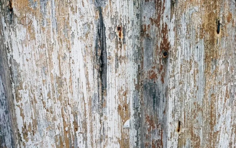 Close-up of a weathered wooden surface featuring peeling paint and rustic textures.
