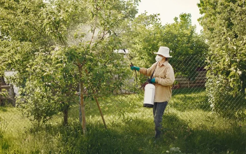 Woman in protective gear spraying pesticides on garden trees with a spray bottle.