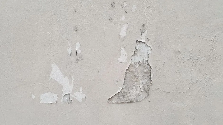 Farba olejna ze ściany - 5 sposobów usuwania bez ryzyka