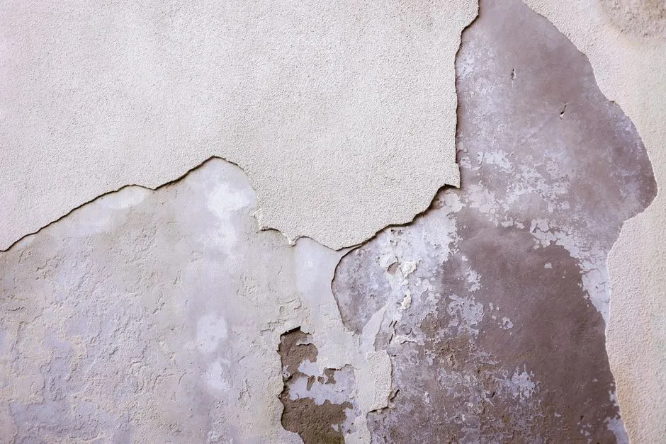 Close-up of a weathered and cracked wall with texture and detail.
