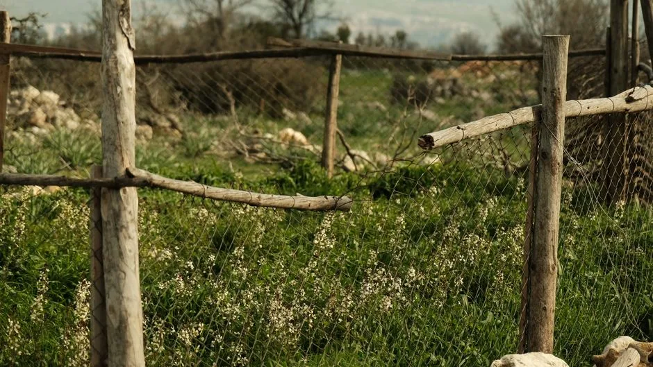 A rustic wooden fence in a lush green field captures a serene spring scene.