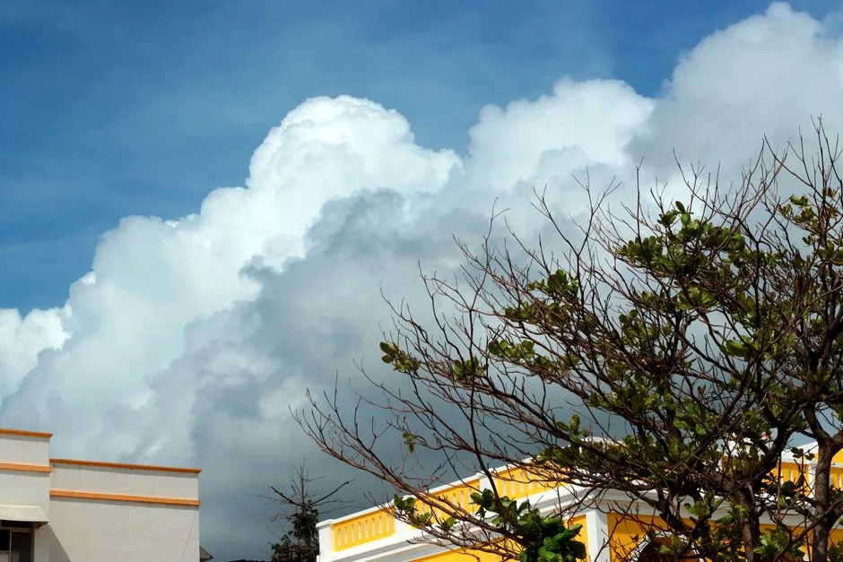 Clouds fill the sky above a tree and building, perfect for a nature-themed photo.