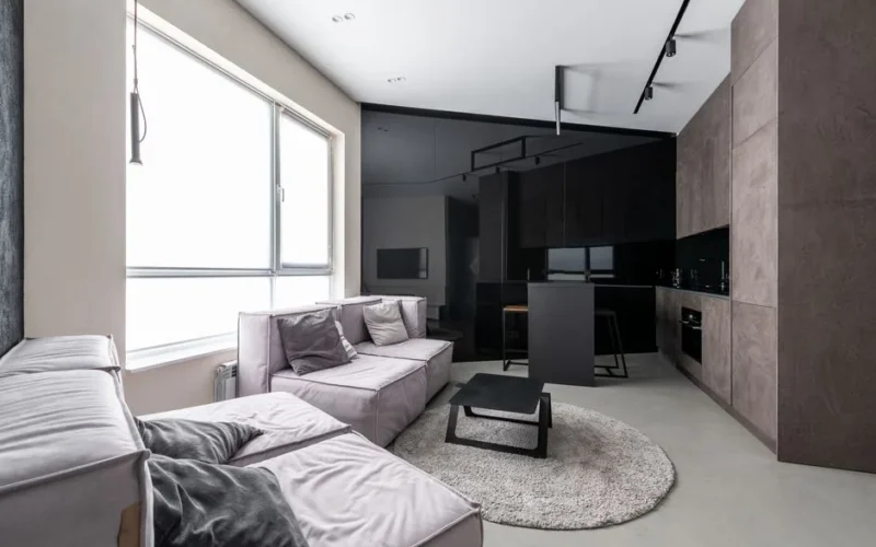 Interior design of stylish spacious living room furnished with comfortable sofas with cushions near kitchen zone in studio apartment