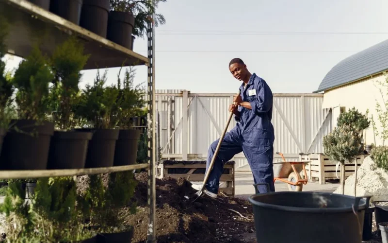 A gardener wearing blue overalls working with a shovel in a sunny outdoor nursery.
