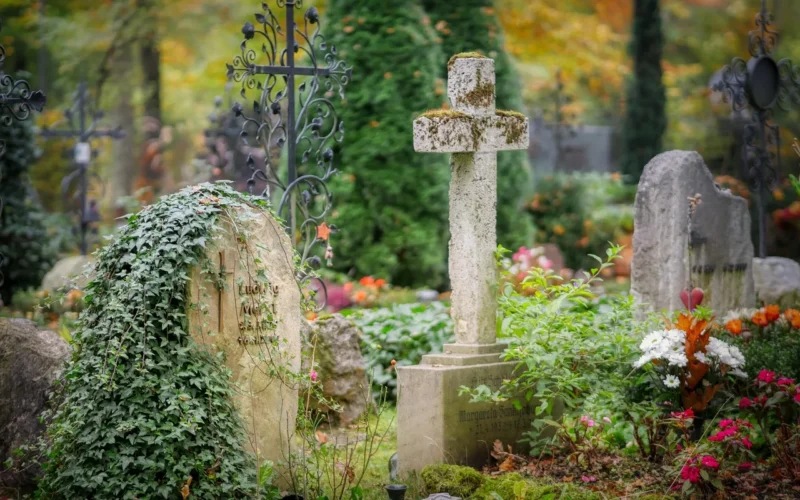cmentarz, nagrobek, mogiła, przechodzić, memorial park, cmentarz, cmentarz, cmentarz, cmentarz, cmentarz